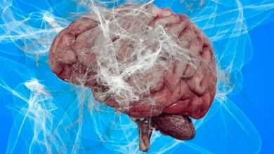 «Brain rot»: як надмірний час онлайн впливає на мозок