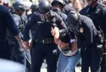 Українців у США затримує ICE: проблеми з програмою U4U