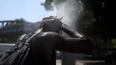 Понад 10 тисяч людей померли під час рекордної спеки в Європі